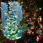 Rainforest cafe - 