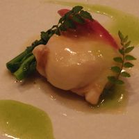 表参道うかい亭 - 北寄貝のグリエ 木の芽ソース
