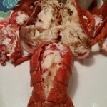 Red Lobster - スチームロブスター