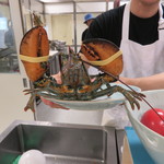 Ata - オマール海老♫