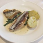 メゾン ドゥ アッシュ - イサキと真鯛のタイム風味のクリームソース