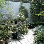 フレッシュクリーム - 