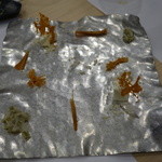 あま木 - 2016.04 くちこ