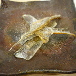 あま木 - 2016.04 サヨリの皮