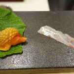 あま木 - 2016.04 赤貝と鯛