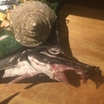 さかなや　いぬい - 八角の頭(-_-;)