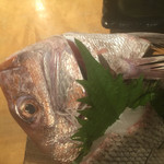 さかなや　いぬい - 逆やけど鯛の頭