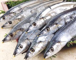 閉店 海鮮居酒屋 築地 はなの舞 東戸塚店 カイセンイザカヤツキジハナノマイヒガシトツカテン 東戸塚 居酒屋 食べログ