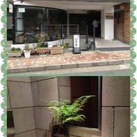 山荷葉 - 