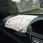 喜八 - H28.04.16 ハンカチ乾燥中