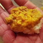 握り　生雲丹　※紫雲丹ごはんの海老きゅう巻の代替料理