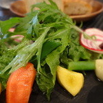 グリーチネ - 前菜盛り合わせ：鎌倉野菜のサラダ