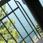 麦とろ童子 - 店内からの眺め