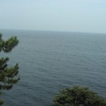 麦とろ童子 - 店内からの眺め（相模湾）！