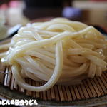 田舎うどん てつ - 2016年4月　うどん