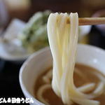 田舎うどん てつ - 2016年4月　うどん　アップ