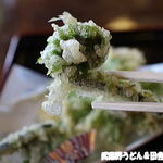 田舎うどん てつ - 2016年4月　こごみ