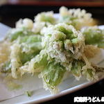 田舎うどん てつ - 2016年4月　蕗の薹