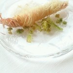 サーラ アマービレ - 車エビフライ、ふきのとう