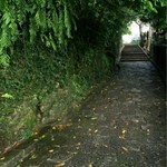 50055945 - 石畳の道は 雨上がりが似合うわ