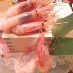 個室・炉端料理 かこいや - 