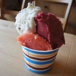 ジェラテリア ジェリーム - 森のいちご、ﾁｮｺﾁｯﾌﾟ、ﾌﾞﾗｯﾄﾞｵﾚﾝｼﾞ