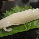 鮨 福萬 - 剣先いか