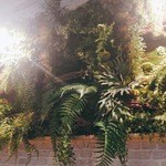 Chao Suki - ちゃおスキ内観