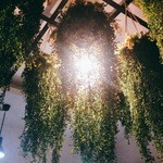 Chao Suki - ちゃおスキ内観