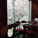 Le souffle - お店からは桜並木が見れます