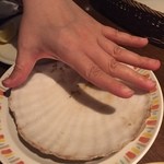 タイーム - ２０１６年・４月　巨大帆立