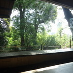 韻松亭 - 窓際に面した席。