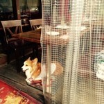 ピッツェリア ピッキ - 