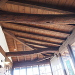 鬱花 - サンルームの屋根。