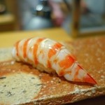 鮨 土方 - 美しい車海老♪