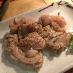 炭火焼肉ホルモン 徳臓 - 2016.4. 上ミノ塩ダレ