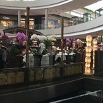 TWG Tea Salon & Boutique in the Gardens - 