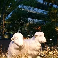 黒杉 - ダイビル名物　羊さん