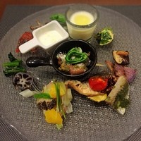 オッジ ダルマット 西麻布店 - 