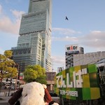 タリーズコーヒー - 今日はお散歩がてら天王寺公園にやってきたボキら。
      天王寺公園のエントランスエリアは
      去年10月に『てんしば』という広い芝生スペースになって
      飲食店やコンビニなんかもできてるんだよ。