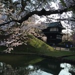 Fujiya - 【番外編】弘前公園の桜①　2016.04