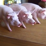 KATSUYOSHI - 店内の雰囲気