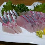 なか栄 - 16.4　シアアジ/カンパチ