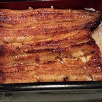 東京 竹葉亭 リーガロイヤルホテル店 - うな重です！