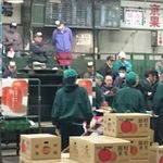 割烹マキノ - 闘う男達の視線は鋭い。