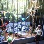 鳥喜多 - 海洋堂ミュージアム 異次元の組合せ