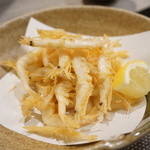 禅紫 - 16.04　白海老の天ぷら