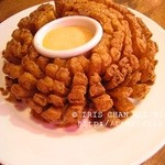 Outback Steakhouse - 