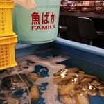 東京イカセンター - 店内には生け簀が。そして「魚ばか」と書かれたバケツがありました。