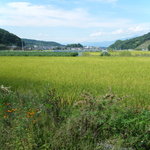 職人館 - 田園風景